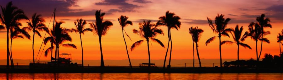 Beach paradise sunset with tropical palm trees.